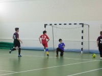 IMG_4531
